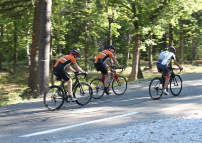 Cyclists in Provence countryside