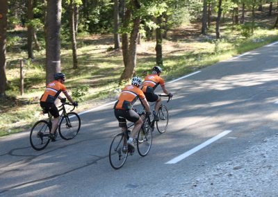 Cyclists in Provence countryside