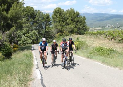 Cyclists in Provence countryside