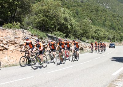 Cyclists in Provence countryside