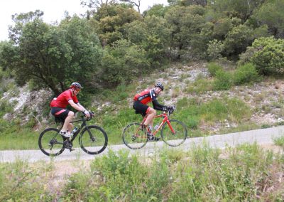 Cyclists in Provence countryside