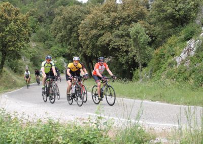 Cyclists in Provence countryside