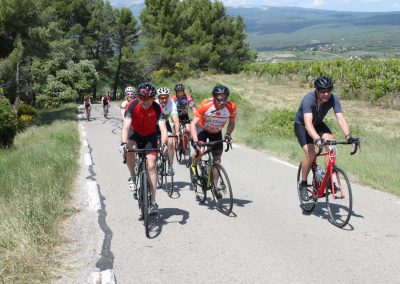 Cyclists in Provence countryside